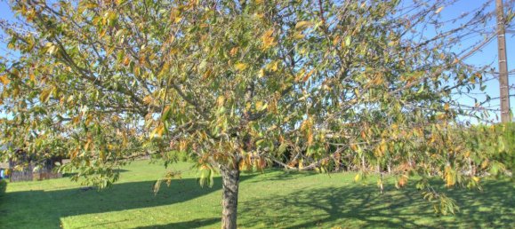 Земельный участок в Жиди, Франция № 251397 7