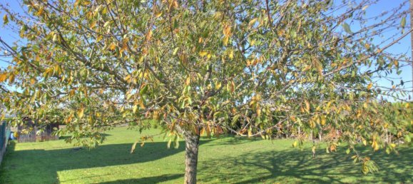 Земельный участок в Жиди, Франция № 251397 4