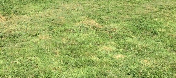 617m² Land in Seine-Maritime, France No. 340026 3