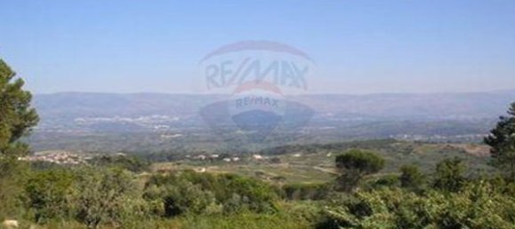 7830m² Land in Senhorim, Portugal No. 51746 2