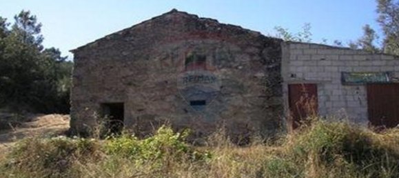 7830m² Land in Senhorim, Portugal No. 51746 5