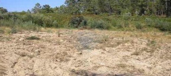 7830m² Land in Senhorim, Portugal No. 51746 4