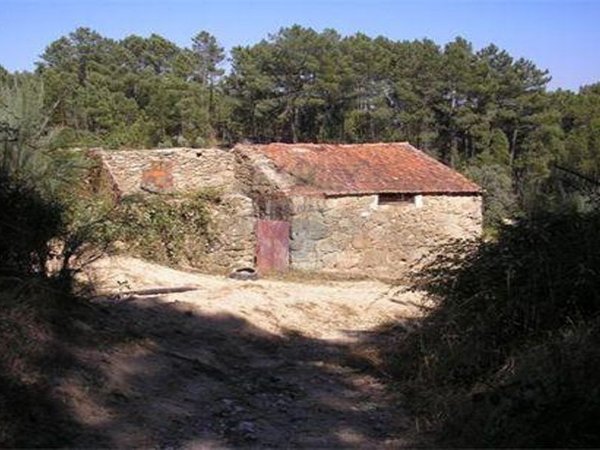 7830m² Land in Senhorim, Portugal No. 51746