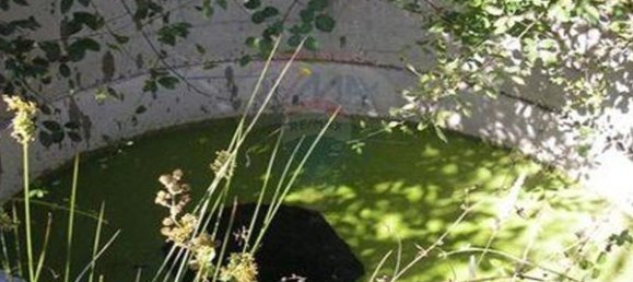 7830m² Land in Senhorim, Portugal No. 51746 3