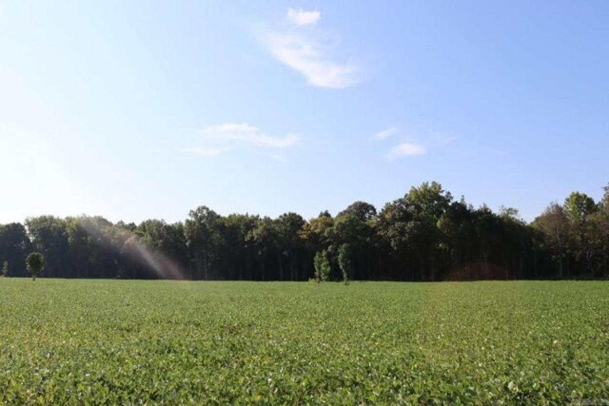 Земельный участок в Марвелл, США № 478460