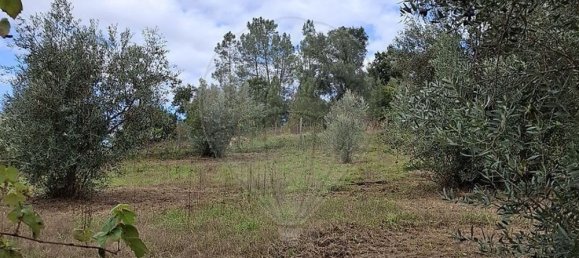 3 bedrooms House in Pombeiro da Beira, Portugal No. 158118 45