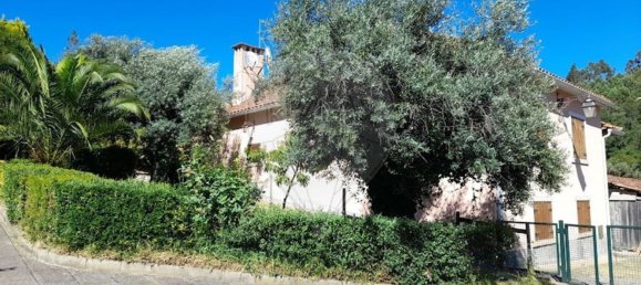 3 bedrooms House in Pombeiro da Beira, Portugal No. 158118 3