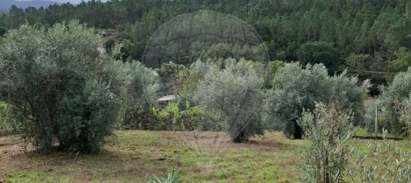 3 bedrooms House in Pombeiro da Beira, Portugal No. 158118 44