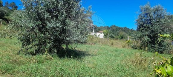 3 bedrooms House in Pombeiro da Beira, Portugal No. 158118 23