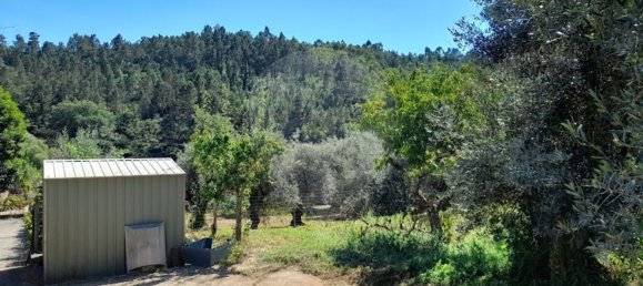 3 bedrooms House in Pombeiro da Beira, Portugal No. 158118 25