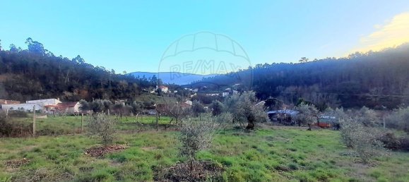 3 bedrooms House in Pombeiro da Beira, Portugal No. 158118 48