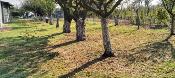 Terreno de 1 divisão em Carpi, Italy N.º 234079 9