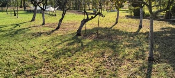 Terreno de 1 divisão em Carpi, Italy N.º 234079 4