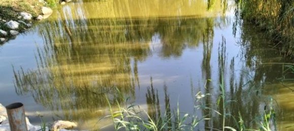 Terreno de 1 divisão em Carpi, Italy N.º 234079 3