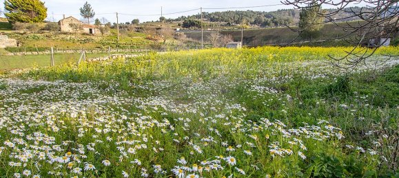 4 bedrooms House in Celorico da Beira, Portugal No. 36543 32