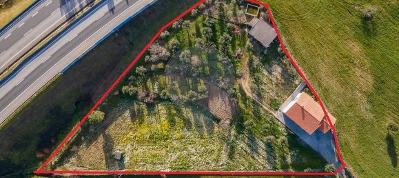 4 bedrooms House in Celorico da Beira, Portugal No. 36543 3