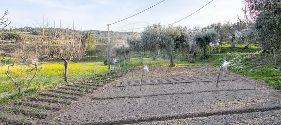 4 bedrooms House in Celorico da Beira, Portugal No. 36543 27