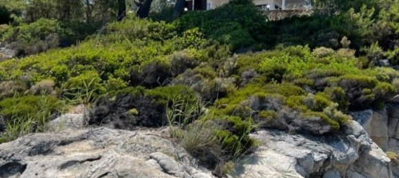 3 غرف نوم شقة في Chalkidiki, Greece رقم 95523 28