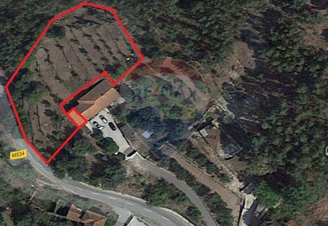  قطعة أرض في Ponte de Lima, Portugal 2940متر مربع رقم 78614