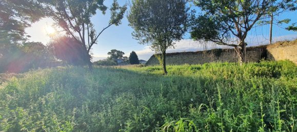 9 bedrooms House in Asturias, Spain No. 141195 40