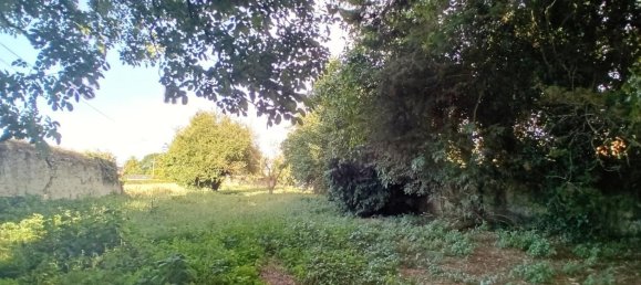 9 bedrooms House in Asturias, Spain No. 141195 39