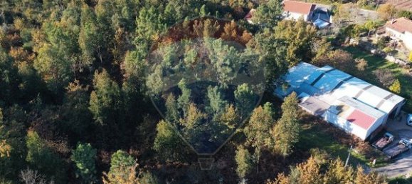 4000m² Land in Espadanedo, Portugal No. 88186 8