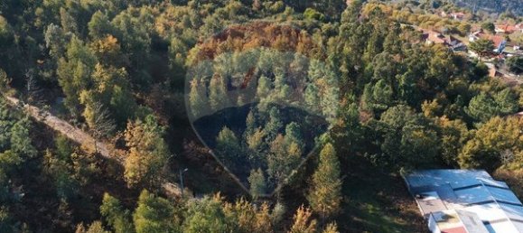 4000m² Land in Espadanedo, Portugal No. 88186 3