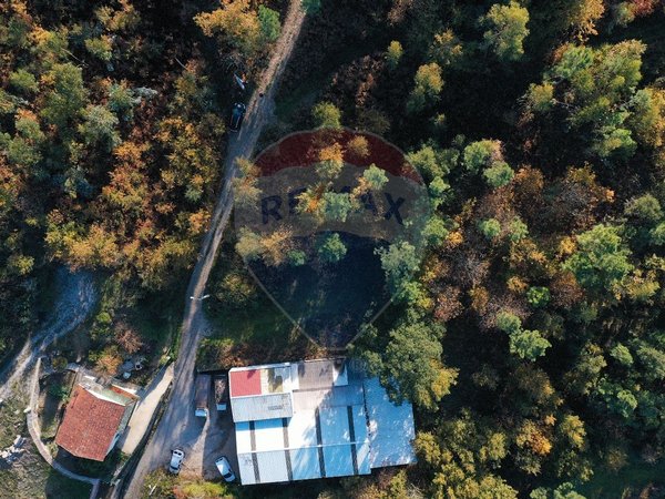 4000m² Land in Espadanedo, Portugal No. 88186