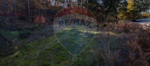 4000m² Land in Espadanedo, Portugal No. 88186 12