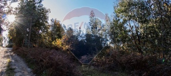 4000m² Land in Espadanedo, Portugal No. 88186 4