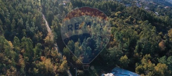 4000m² Land in Espadanedo, Portugal No. 88186 9