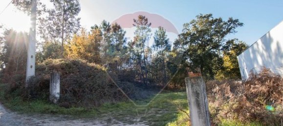 4000m² Land in Espadanedo, Portugal No. 88186 6