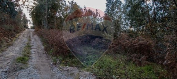 4000m² Land in Espadanedo, Portugal No. 88186 15