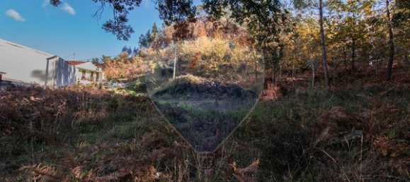 4000m² Land in Espadanedo, Portugal No. 88186 7