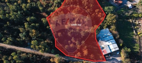 4000m² Land in Espadanedo, Portugal No. 88186 11