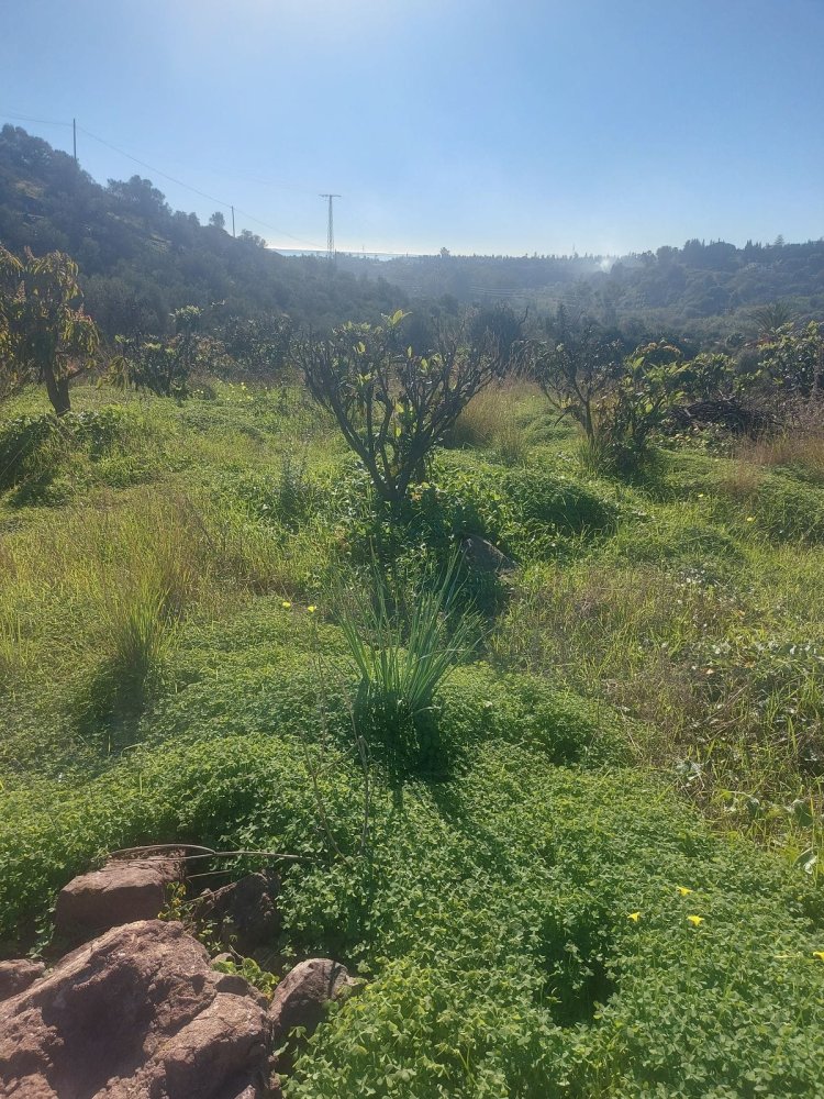 2 Schlafzimmer Haus in Estepona, Spain, Nr. 127560