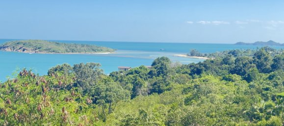 Grundstück in Ko Samui, Thailand, Nr. 66930 2