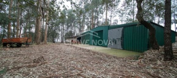 11 chambres Maison à Oliveira de Azemeis, Portugal No. 72007 41