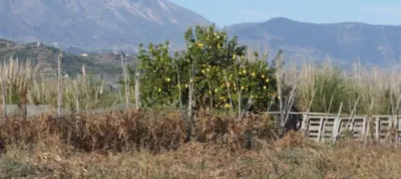  Land in Salobrena, Spain No. 142951 3