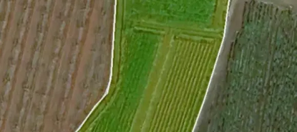  Land in Salobrena, Spain No. 142951 7