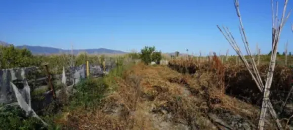  Land in Salobrena, Spain No. 142951 4