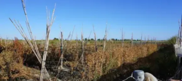  Land in Salobrena, Spain No. 142951 5