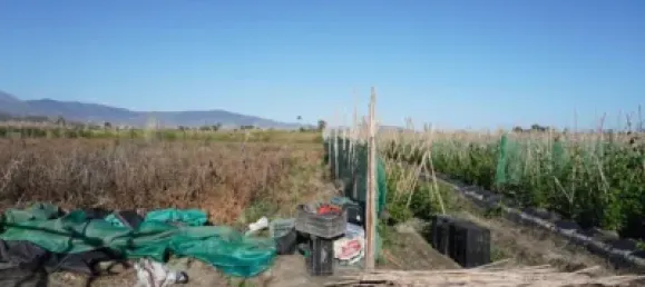  Land in Salobrena, Spain No. 142951 8