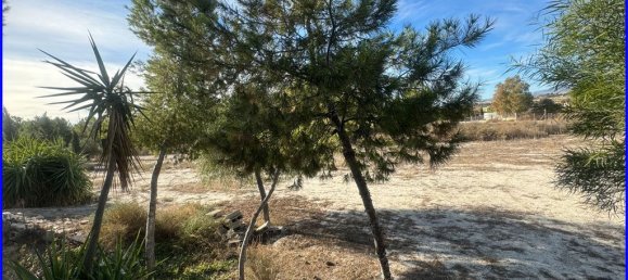 1116m² Land in Fortuna, Spain No. 116642 2