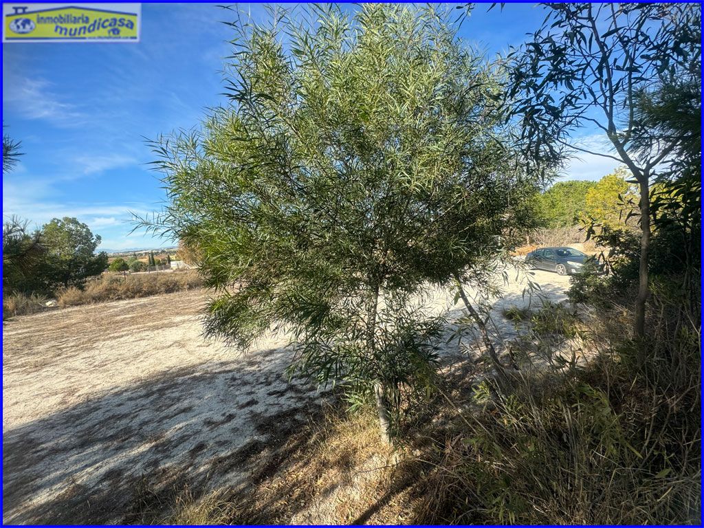 1116m² Land in Fortuna, Spain No. 116642