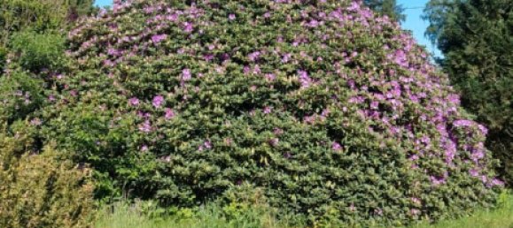 2 chambres Maison à Nienburg, Germany No. 279531 3