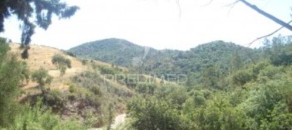 7880m² Land in Sao Bras de Alportel, Portugal No. 64293 5