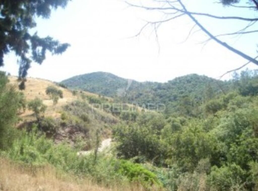 7880m² Land in Sao Bras de Alportel, Portugal No. 64293