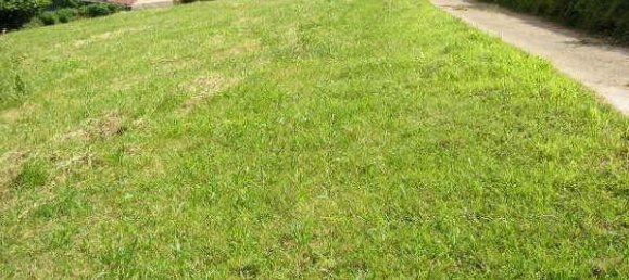 terreno en venta en Cudillero, Asturias, Principado de Asturias, Spain № 369910 4