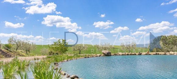 47 rooms Villa in San Quirico d'Orcia, Italy No. 117794 9